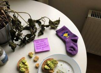 Wellness for Life: Tips for Lasting Health and Happiness A high-angle, slightly shaky shot of a kitchen table with avocado toast crumbs, a sticky note, and that purple sock, with soft morning light and a wilting plant in the corner.