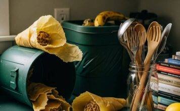 Sustainable Transportation – How to Reduce Your Carbon Footprint on the Road A cluttered kitchen counter with unraveling beeswax wraps, a compost bin, a cracked mason jar with utensils, and a neon orange sock.