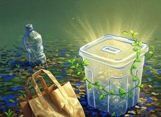 Sustainable Packaging: The Future of Eco-Friendly Solutions for a Greener Planet A crumpled biodegradable bag, a glowing compostable container with vines, and a fading plastic bottle on vibrant soil.