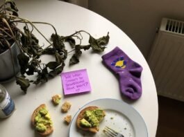 Wellness for Life: Tips for Lasting Health and Happiness A high-angle, slightly shaky shot of a kitchen table with avocado toast crumbs, a sticky note, and that purple sock, with soft morning light and a wilting plant in the corner.