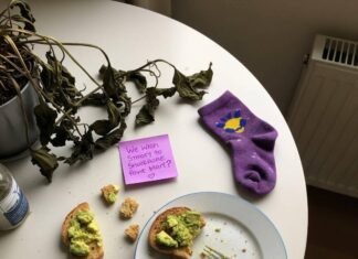 Wellness for Life: Tips for Lasting Health and Happiness A high-angle, slightly shaky shot of a kitchen table with avocado toast crumbs, a sticky note, and that purple sock, with soft morning light and a wilting plant in the corner.