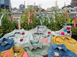 Sustainable Fashion in 2025: Why It’s the Future of Style A blurred, shaky-hand photo shows a pile of thrifted denim jackets with messy stitches and embroidered ladybugs, alongside a city rooftop garden with fabric-tied tomato plants and a beat-up, patched sneaker.