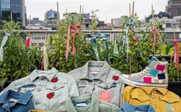 Sustainable Fashion in 2025: Why It’s the Future of Style A blurred, shaky-hand photo shows a pile of thrifted denim jackets with messy stitches and embroidered ladybugs, alongside a city rooftop garden with fabric-tied tomato plants and a beat-up, patched sneaker.
