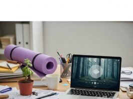 Top Employee Wellness Programs for a Healthier Workplace A messy office desk with a sad succulent, a yoga mat, and a laptop showing a mindfulness app.